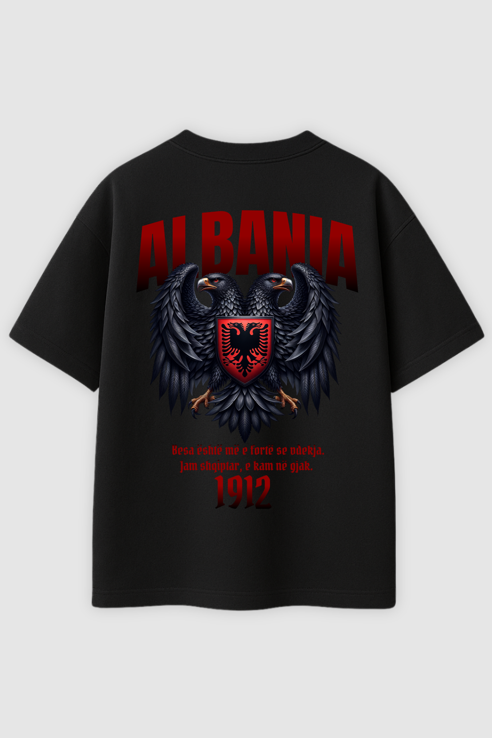 Albania 1912 | Heavy Oversized Shirt