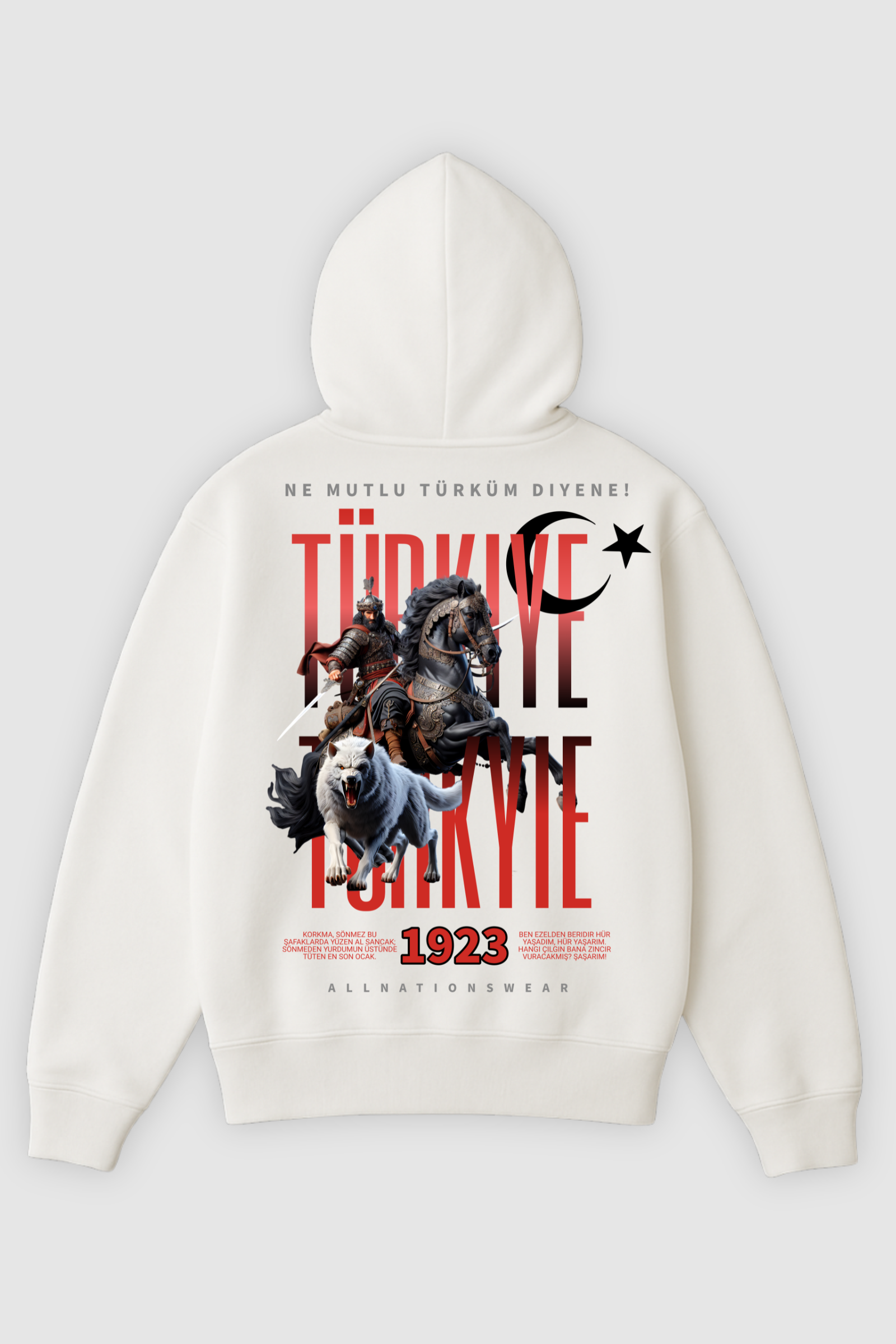 Türkyie | Heavy Oversized Hoodie