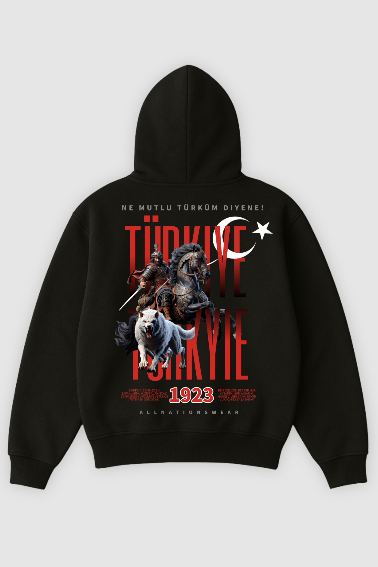 Türkyie | Heavy Oversized Hoodie